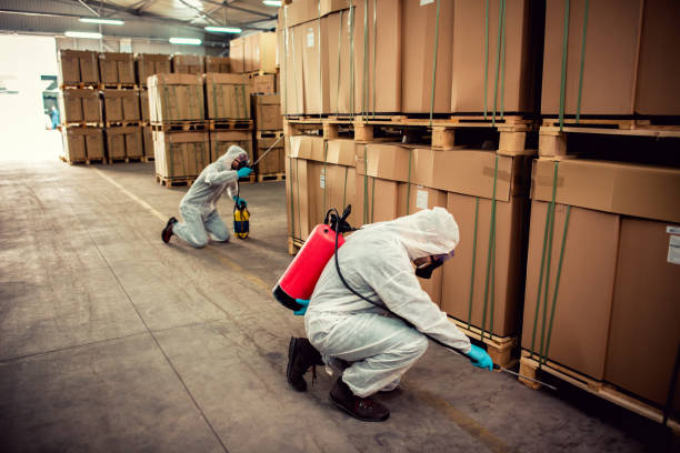 Best Pest Control Near Me  in North Auburn, CA