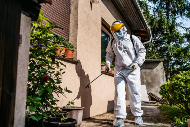 Best Affordable Pest Control Services  in North Auburn, CA