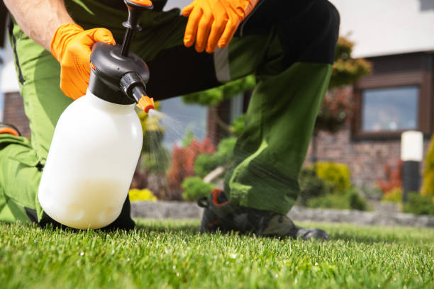 Best Wildlife Control Services  in North Auburn, CA