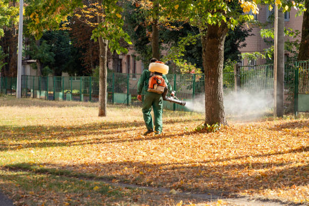 Best Local Pest Control Services  in North Auburn, CA
