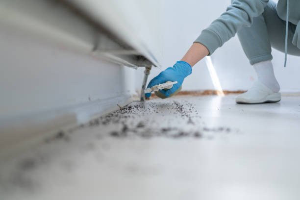 Best Emergency Pest Control  in North Auburn, CA